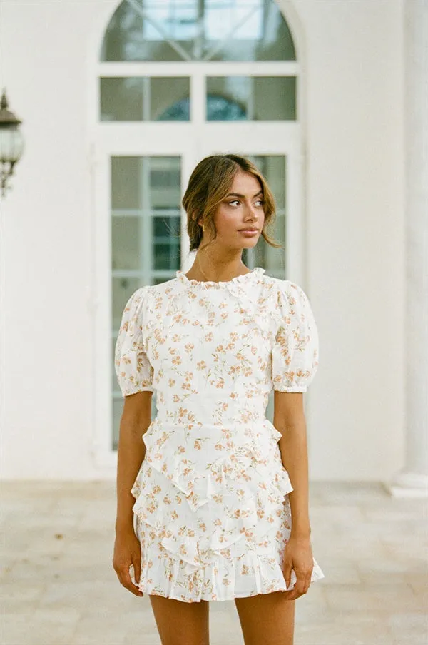 Gisele Dress (Petite)