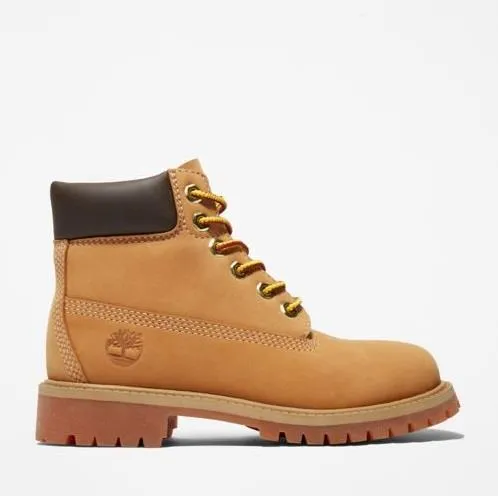 Timberland Premium 6-Inch Boot